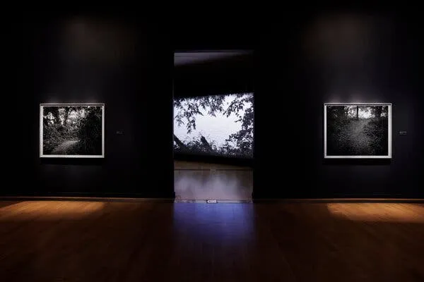 糖心 - 记忆守护者纪录片