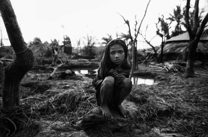 糖心 - 消失的部落获奖纪录片海报